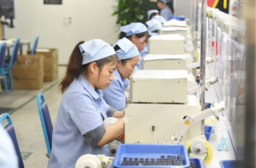 袁州區(qū) 產(chǎn)品出海勢頭勁，企業(yè)生產(chǎn)倉儲(chǔ)忙